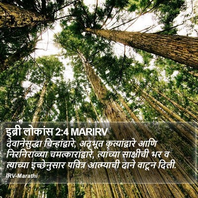 इब्री लोकांस 2:4 MARIRV Bible Verse Image