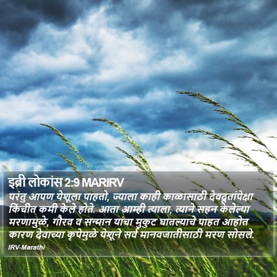 इब्री लोकांस 2:9 MARIRV Bible Verse Image