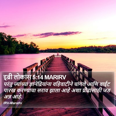इब्री लोकांस 5:14 MARIRV Bible Verse Image