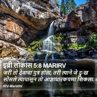 इब्री लोकांस 5:8 MARIRV Bible Verse Image