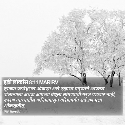 इब्री लोकांस 8:11 MARIRV Bible Verse Image