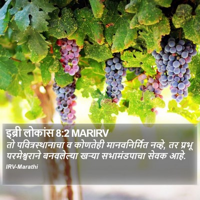 इब्री लोकांस 8:2 MARIRV Bible Verse Image