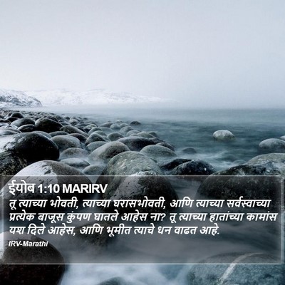 ईयोब 1:10 MARIRV Bible Verse Image