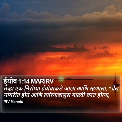 ईयोब 1:14 MARIRV Bible Verse Image
