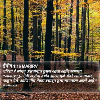 ईयोब 1:16 MARIRV Bible Verse Image