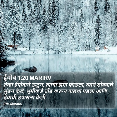 ईयोब 1:20 MARIRV Bible Verse Image