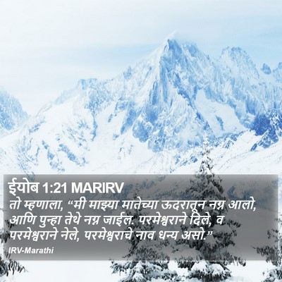 ईयोब 1:21 MARIRV Bible Verse Image