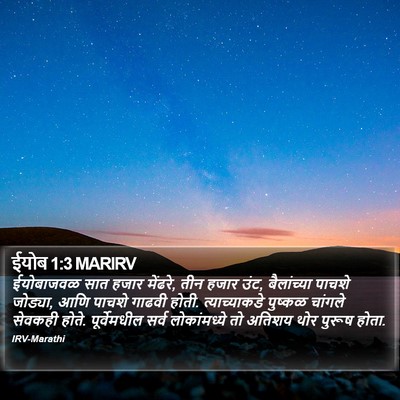 ईयोब 1:3 MARIRV Bible Verse Image
