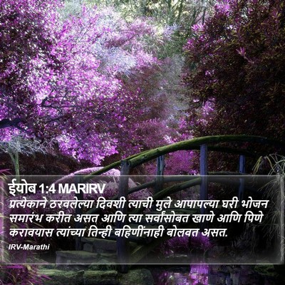 ईयोब 1:4 MARIRV Bible Verse Image