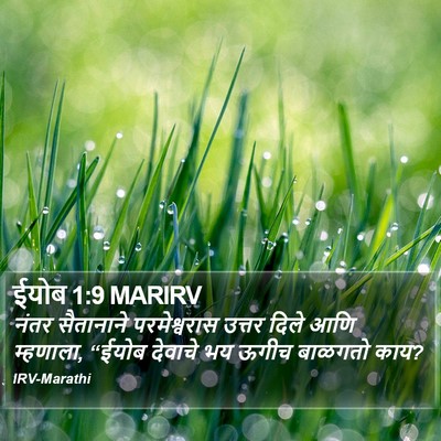 ईयोब 1:9 MARIRV Bible Verse Image