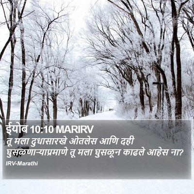 ईयोब 10:10 MARIRV Bible Verse Image