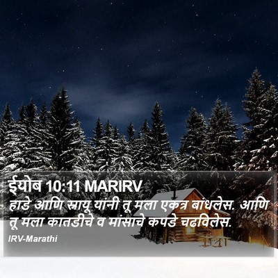 ईयोब 10:11 MARIRV Bible Verse Image