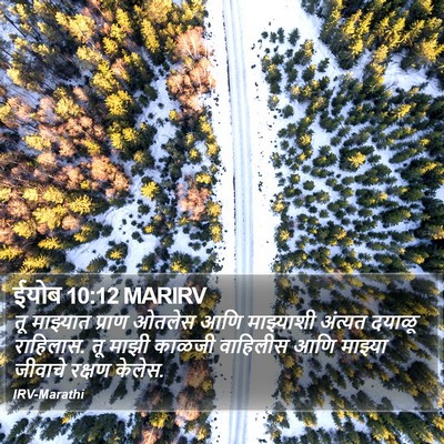 ईयोब 10:12 MARIRV Bible Verse Image