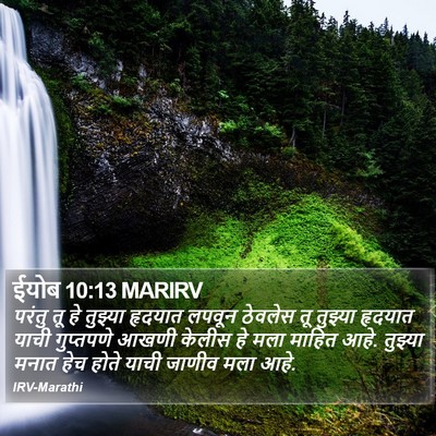 ईयोब 10:13 MARIRV Bible Verse Image