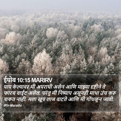 ईयोब 10:15 MARIRV Bible Verse Image