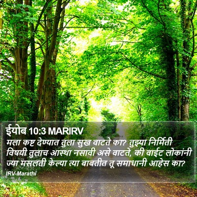 ईयोब 10:3 MARIRV Bible Verse Image