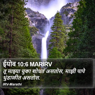 ईयोब 10:6 MARIRV Bible Verse Image