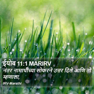 ईयोब 11:1 MARIRV Bible Verse Image