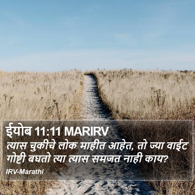 ईयोब 11:11 MARIRV Bible Verse Image