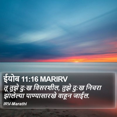 ईयोब 11:16 MARIRV Bible Verse Image