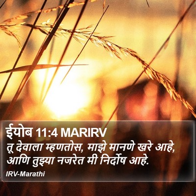 ईयोब 11:4 MARIRV Bible Verse Image