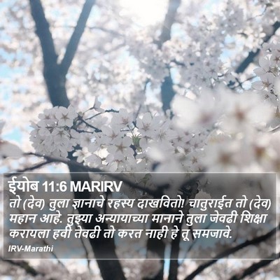ईयोब 11:6 MARIRV Bible Verse Image