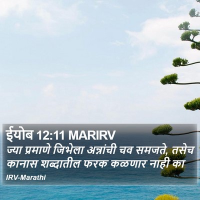 ईयोब 12:11 MARIRV Bible Verse Image