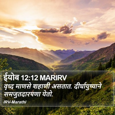 ईयोब 12:12 MARIRV Bible Verse Image