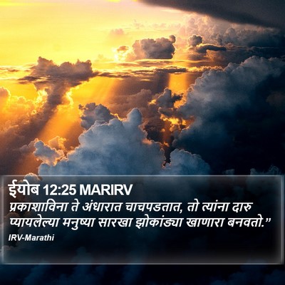 ईयोब 12:25 MARIRV Bible Verse Image