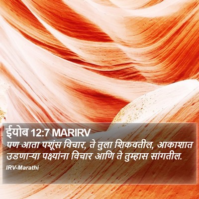 ईयोब 12:7 MARIRV Bible Verse Image
