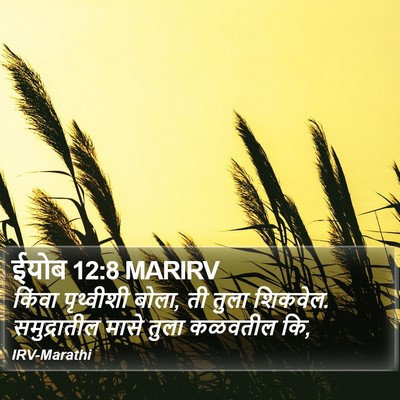 ईयोब 12:8 MARIRV Bible Verse Image