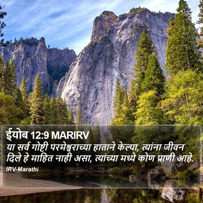 ईयोब 12:9 MARIRV Bible Verse Image