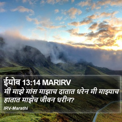 ईयोब 13:14 MARIRV Bible Verse Image