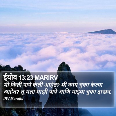 ईयोब 13:23 MARIRV Bible Verse Image
