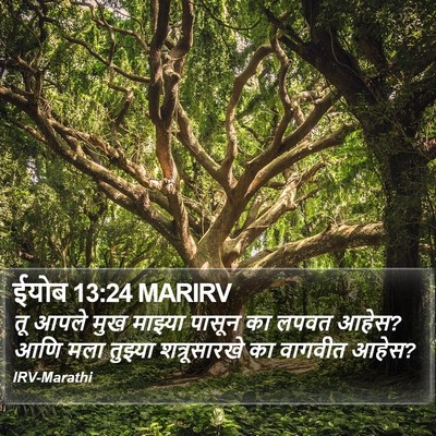 ईयोब 13:24 MARIRV Bible Verse Image