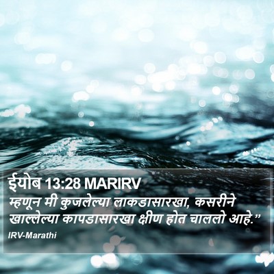 ईयोब 13:28 MARIRV Bible Verse Image