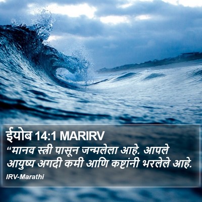 ईयोब 14:1 MARIRV Bible Verse Image