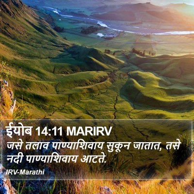 ईयोब 14:11 MARIRV Bible Verse Image