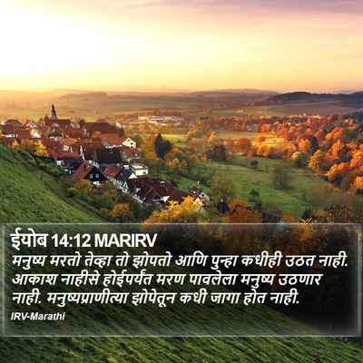 ईयोब 14:12 MARIRV Bible Verse Image