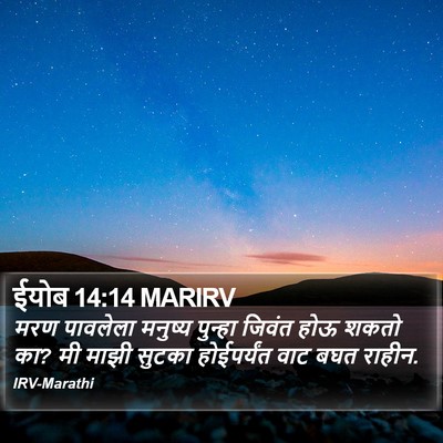 ईयोब 14:14 MARIRV Bible Verse Image