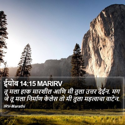 ईयोब 14:15 MARIRV Bible Verse Image