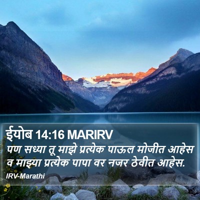 ईयोब 14:16 MARIRV Bible Verse Image