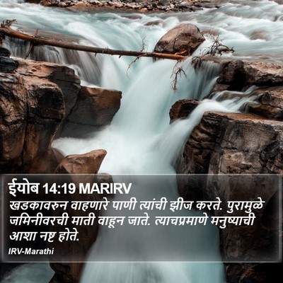 ईयोब 14:19 MARIRV Bible Verse Image
