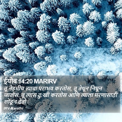 ईयोब 14:20 MARIRV Bible Verse Image