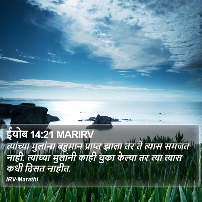ईयोब 14:21 MARIRV Bible Verse Image