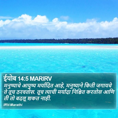 ईयोब 14:5 MARIRV Bible Verse Image