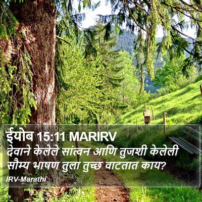 ईयोब 15:11 MARIRV Bible Verse Image