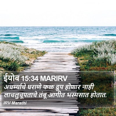 ईयोब 15:34 MARIRV Bible Verse Image