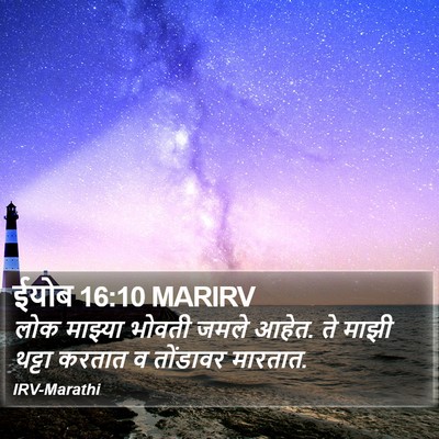 ईयोब 16:10 MARIRV Bible Verse Image