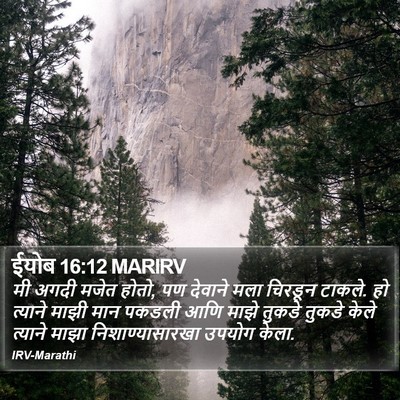 ईयोब 16:12 MARIRV Bible Verse Image